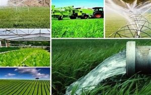 برنامه های جهاد کشاورزی آذربایجان شرقی در سال سرمایه گذاری برای تولید