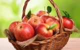 دوازدهمین جشنواره سیب مراغه برگزار می شود