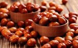 آذربایجان شرقی رتبه نخست کشور در تولید سنجد