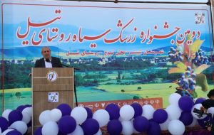 جشنواره زرشک سیاه تیل فرصتی برای معرفی این محصول است