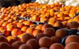 خریداری ۳۹۷ تن میوه و خرما برای ماه رمضان و ایام عید در آذربایجان‌غربی