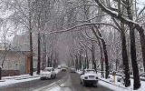 برف به اردبیل بازگشت