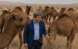 رونق پرورش شتر در آذربایجان شرقی؛ ایلخچی قطب پرورش شتر استان