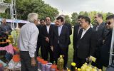 سراب؛ قطب تولید عسل و فرآورده‌های دامی آذربایجان شرقی