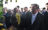 هشتمین جشنواره انگور و دوشاب ملکان
