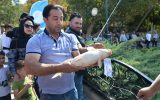 برگزاری جشنواره بزرگ ماهیگیری ورزشی در تبریز