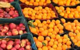 عرضه میوه شب عید در ۶۰غرفه با قیمت تنظیم بازار از ۲۷ اسفند در آذربایجان شرقی