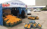 کاهش قیمت میوه شب عید در آذربایجان شرقی