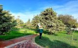 حکایت ساماندهی کارگران فضای سبز تبریز و پیمانکاران تخریب‌چی