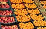 ذخیره سازی ۹۰۰ تن میوه شب عید در آذربایجان شرقی/ توزیع از روز دوشنبه