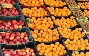 ذخیره سازی ۹۰۰ تن میوه شب عید در آذربایجان شرقی/ توزیع از روز دوشنبه
