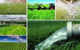 برنامه های جهاد کشاورزی آذربایجان شرقی در سال سرمایه گذاری برای تولید