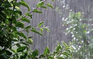 آذربایجانشرقی بارانی است/ تداوم بارشها تا سهشنبه آذربایجانشرقی بارانی است/ تداوم بارشها تا سهشنبه