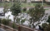 هشدار هواشناسی آذربایجان شرقی نسبت به وزش تندباد و رگبار باران در روز طبیعت